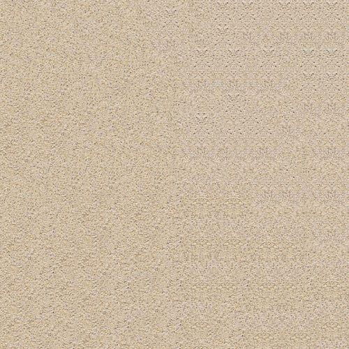 Golden Granite — Bush-Hammered Finish